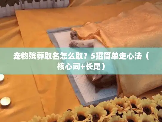 宠物殡葬取名怎么取？5招简单走心法（核心词+长尾）