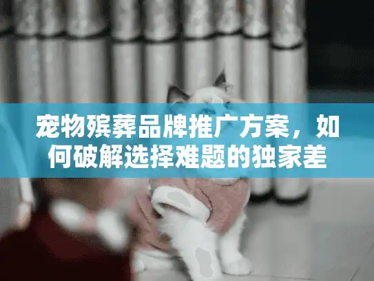 宠物殡葬品牌推广方案，如何破解选择难题的独家差异化秘笈