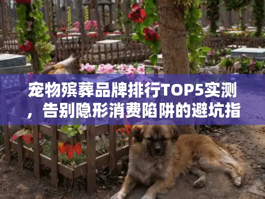 宠物殡葬品牌排行TOP5实测，告别隐形消费陷阱的避坑指南