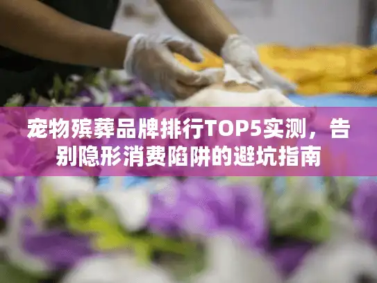 宠物殡葬品牌排行TOP5实测，告别隐形消费陷阱的避坑指南