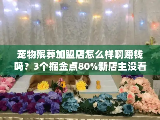 宠物殡葬加盟店怎么样啊赚钱吗？3个掘金点80%新店主没看懂
