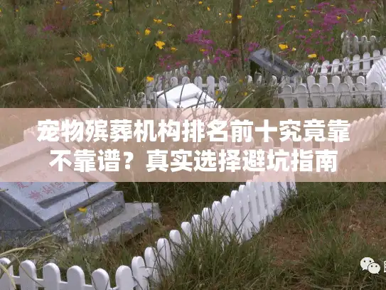 宠物殡葬机构排名前十究竟靠不靠谱？真实选择避坑指南