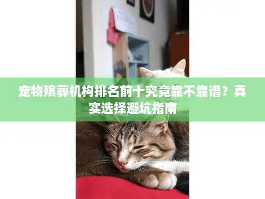 宠物殡葬机构排名前十究竟靠不靠谱？真实选择避坑指南