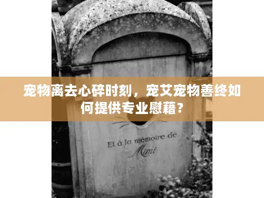 宠物离去心碎时刻，宠艾宠物善终如何提供专业慰藉？