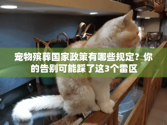 宠物殡葬国家政策有哪些规定？你的告别可能踩了这3个雷区