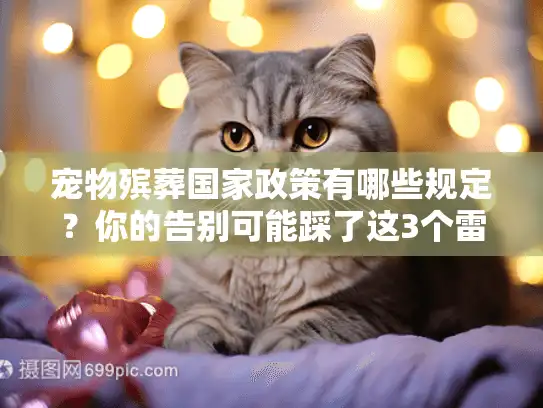 宠物殡葬国家政策有哪些规定？你的告别可能踩了这3个雷区