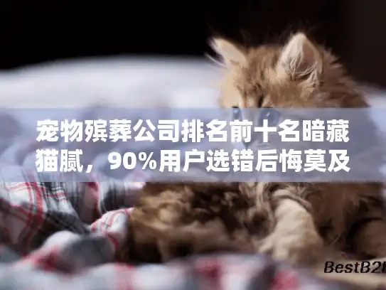 宠物殡葬公司排名前十名暗藏猫腻，90%用户选错后悔莫及！