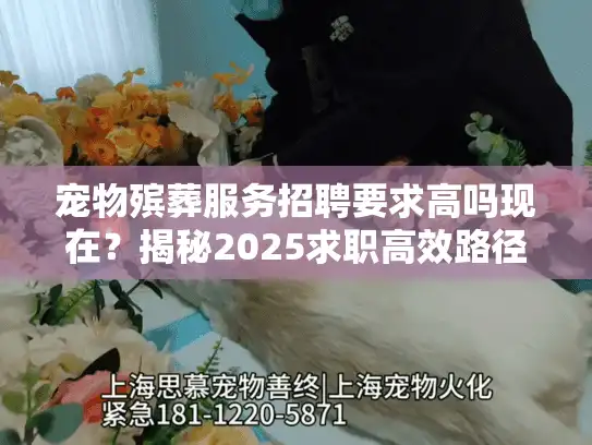 宠物殡葬服务招聘要求高吗现在？揭秘2025求职高效路径