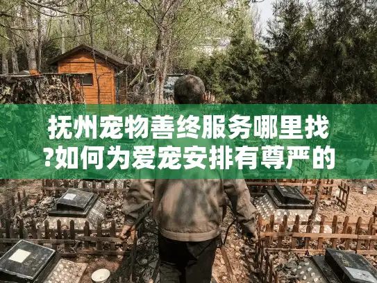 抚州宠物善终服务哪里找?如何为爱宠安排有尊严的告别