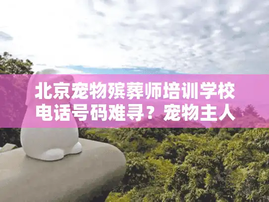 北京宠物殡葬师培训学校电话号码难寻？宠物主人告别痛点终极破解法