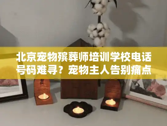 北京宠物殡葬师培训学校电话号码难寻？宠物主人告别痛点终极破解法