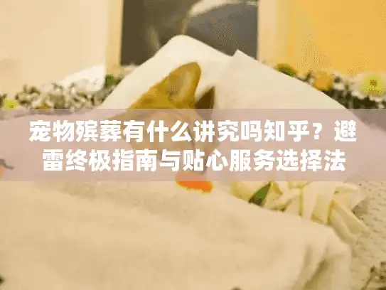 宠物殡葬有什么讲究吗知乎？避雷终极指南与贴心服务选择法