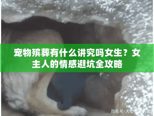 宠物殡葬有什么讲究吗女生？女主人的情感避坑全攻略