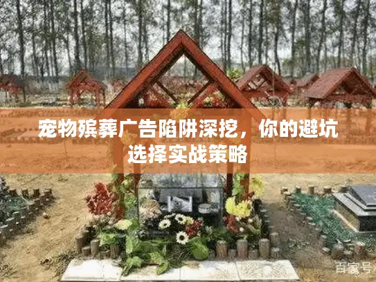 宠物殡葬广告陷阱深挖，你的避坑选择实战策略