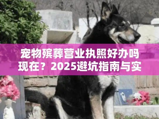 宠物殡葬营业执照好办吗现在？2025避坑指南与实战成本解析