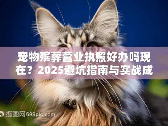 宠物殡葬营业执照好办吗现在？2025避坑指南与实战成本解析