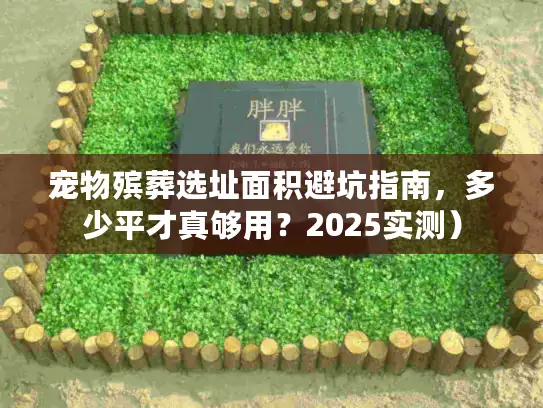 宠物殡葬选址面积避坑指南，多少平才真够用？2025实测）
