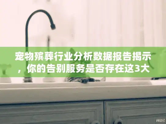 宠物殡葬行业分析数据报告揭示，你的告别服务是否存在这3大隐藏成本？