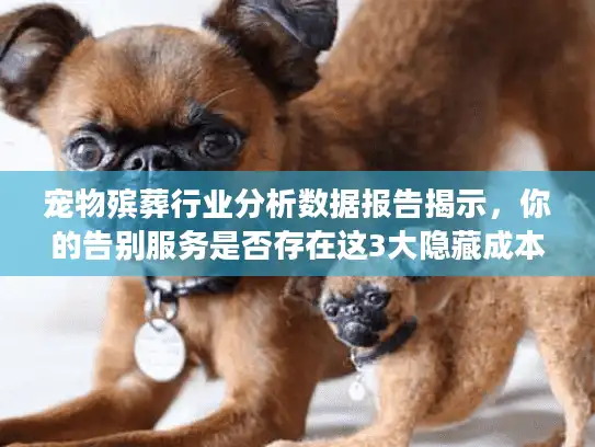 宠物殡葬行业分析数据报告揭示，你的告别服务是否存在这3大隐藏成本？
