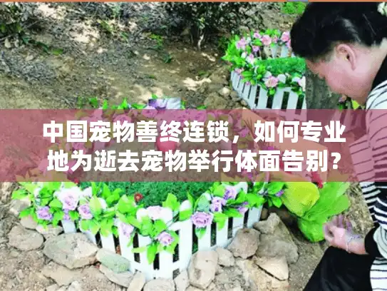 中国宠物善终连锁，如何专业地为逝去宠物举行体面告别？