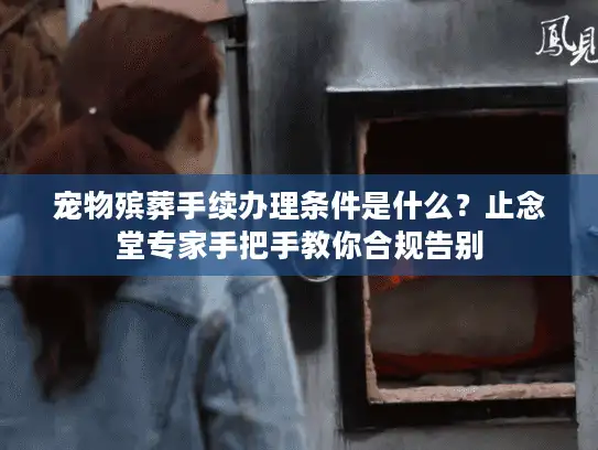 宠物殡葬手续办理条件是什么？止念堂专家手把手教你合规告别
