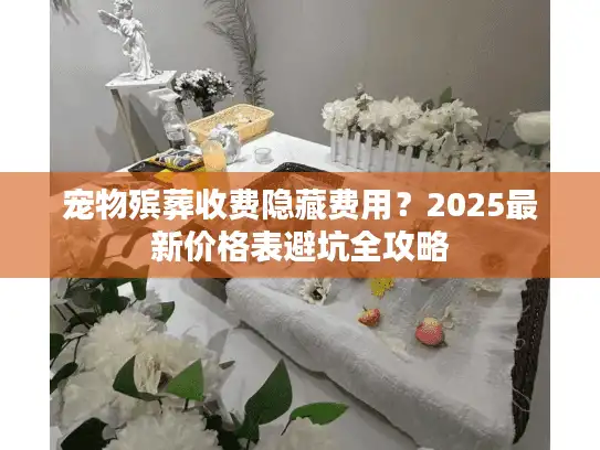 宠物殡葬收费隐藏费用？2025最新价格表避坑全攻略