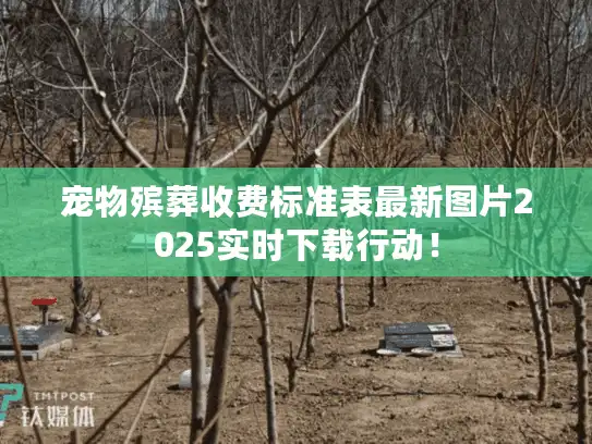 宠物殡葬收费标准表最新图片2025实时下载行动！