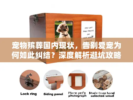 宠物殡葬国内现状，告别爱宠为何如此纠结？深度解析避坑攻略