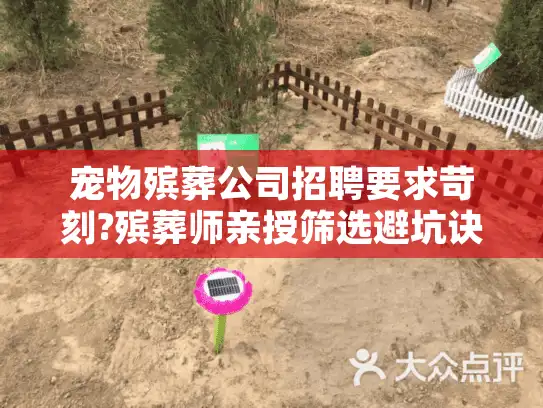 宠物殡葬公司招聘要求苛刻?殡葬师亲授筛选避坑诀窍