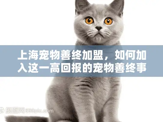 上海宠物善终加盟，如何加入这一高回报的宠物善终事业？