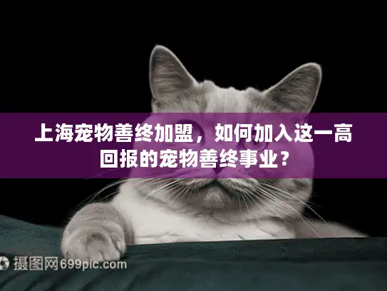 上海宠物善终加盟，如何加入这一高回报的宠物善终事业？