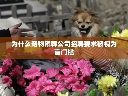 为什么宠物殡葬公司招聘要求被视为高门槛