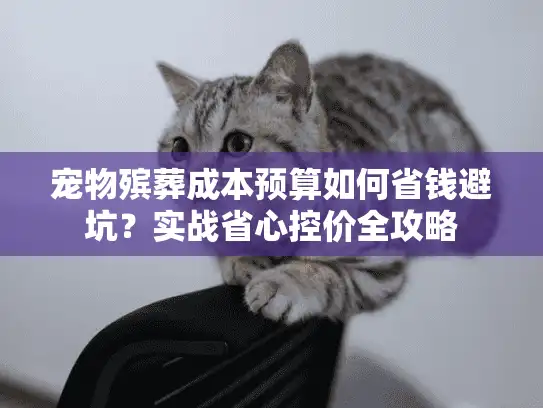 宠物殡葬成本预算如何省钱避坑？实战省心控价全攻略
