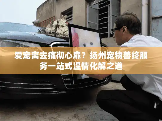 爱宠离去痛彻心扉？扬州宠物善终服务一站式温情化解之道
