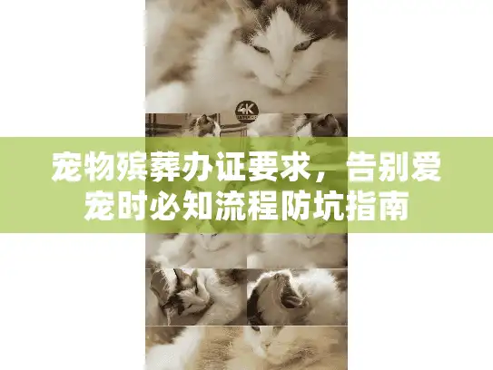 宠物殡葬办证要求，告别爱宠时必知流程防坑指南