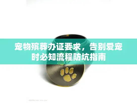宠物殡葬办证要求，告别爱宠时必知流程防坑指南