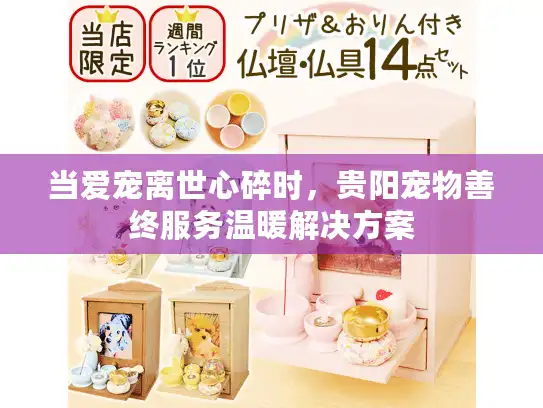 当爱宠离世心碎时，贵阳宠物善终服务温暖解决方案