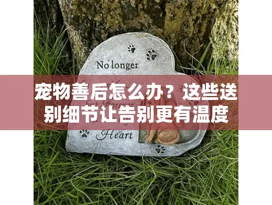 宠物善后怎么办？这些送别细节让告别更有温度