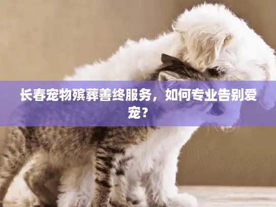 长春宠物殡葬善终服务，如何专业告别爱宠？