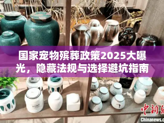 国家宠物殡葬政策2025大曝光，隐藏法规与选择避坑指南