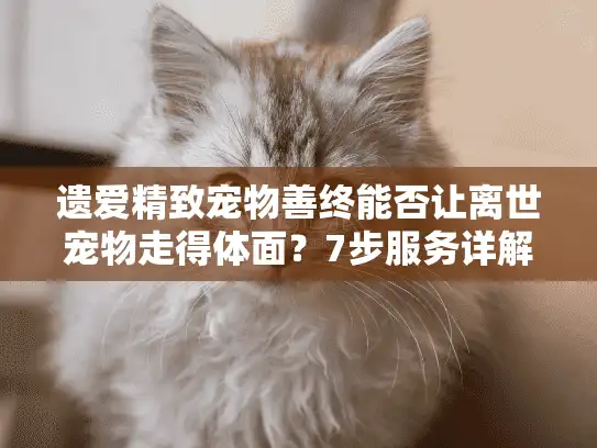 遗爱精致宠物善终能否让离世宠物走得体面？7步服务详解