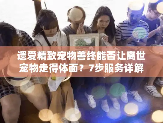 遗爱精致宠物善终能否让离世宠物走得体面？7步服务详解