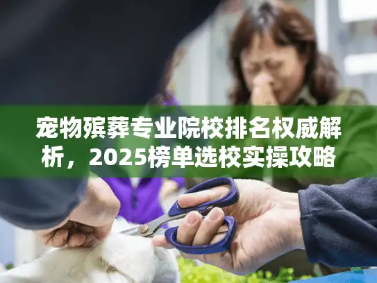 宠物殡葬专业院校排名权威解析，2025榜单选校实操攻略