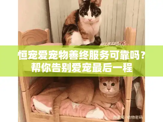 恒宠爱宠物善终服务可靠吗？帮你告别爱宠最后一程