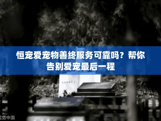 恒宠爱宠物善终服务可靠吗？帮你告别爱宠最后一程