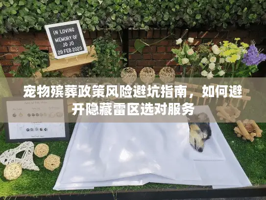 宠物殡葬政策风险避坑指南，如何避开隐藏雷区选对服务