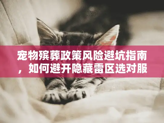 宠物殡葬政策风险避坑指南，如何避开隐藏雷区选对服务