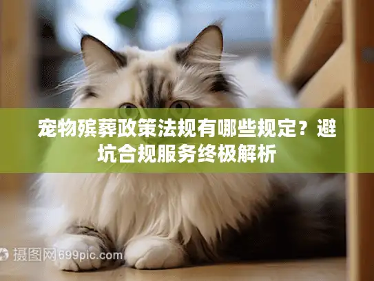 宠物殡葬政策法规有哪些规定？避坑合规服务终极解析
