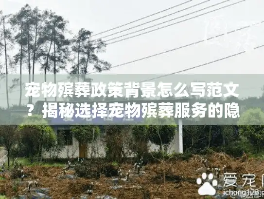 宠物殡葬政策背景怎么写范文？揭秘选择宠物殡葬服务的隐藏陷阱
