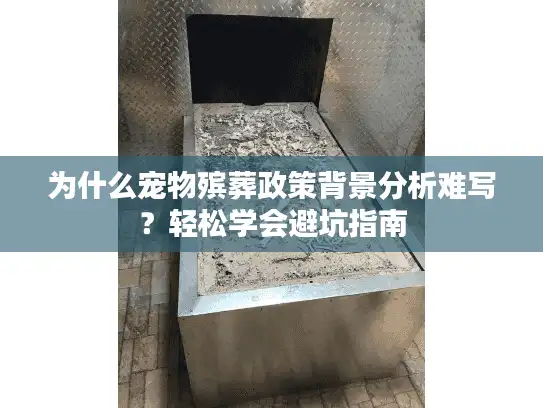 为什么宠物殡葬政策背景分析难写？轻松学会避坑指南